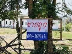 ขายโกดัง สระบุรี ที่ดิน 22 ไร่ 3 งาน 38 ตร.ว.-202505111624031746955443054.jpg
