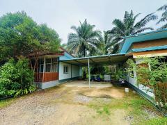 ขายกิจการ รีสอร์ท+บ้าน ท่าแซะ ชุมพร -202505111702151746957735583.jpg