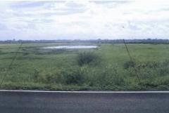 อย่าพลาดดีลเด็ดโปรดี   ขายที่ดิน 4ไร่เศษ ติดถนนคอนกรีต ต.มหาราช อ.มหาราช จ.อยุธยา