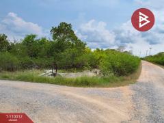 ขายที่ดิน เนื้อที่ 9 ไร่ 3 งาน 46 ตร.วา หัวไทร นครศรีธรรมราช-202505120505111747001111416.jpg