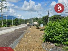 ขายที่ดินพร้อมสิ่งปลูกสร้าง เนื้อที่ 254.3 ตร.วา สอยดาว จันทบุรี-202505120622031747005723032.jpg