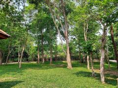 ขายที่ดินพร้อมกิจการ ภูพิพัฒน์ รีสอร์ท  ตำบลท่าวังผา อำเภอวังผา จังหวัดน่าน-202505120908511747015731074.jpg