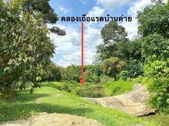 ขายที่ดินบางบุตรถมแล้ว ติดคลอง 1 ไร่ ใกล้แยกบางบุตร6กม. อ.บ้านค่าย ระยอง-202505121120381747023638349.jpg