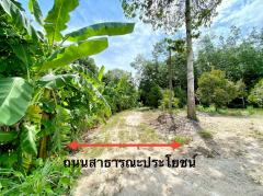ขายที่ดินบางบุตรถมแล้ว ติดคลอง 1 ไร่ ใกล้แยกบางบุตร6กม. อ.บ้านค่าย ระยอง-202505121120391747023639279.jpg
