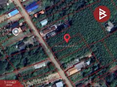 ขายที่ดิน เนื้อที่ 1 ไร่ 1 งาน 80 ตร.วา ธาตุพนม นครพนม-202505121143031747024983627.jpg