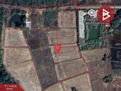 ขายที่ดิน เนื้อที่ 4 ไร่ 1 งาน 69.6 ตร.วา ขามเฒ่า นครพนม-202505121157571747025877780.jpg