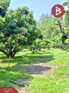 ขายที่ดิน เนื้อที่ 7 ไร่ 3 งาน 94 ตร.วา เทิง เชียงราย-202505121223161747027396751.jpg