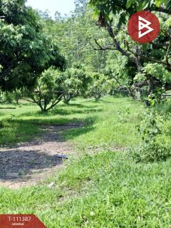 ขายที่ดิน เนื้อที่ 7 ไร่ 3 งาน 94 ตร.วา เทิง เชียงราย-202505121223181747027398758.jpg