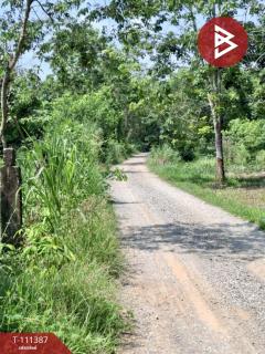 ขายที่ดิน เนื้อที่ 7 ไร่ 3 งาน 94 ตร.วา เทิง เชียงราย-202505121223211747027401582.jpg