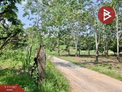 ขายที่ดิน เนื้อที่ 7 ไร่ 3 งาน 94 ตร.วา เทิง เชียงราย-202505121223221747027402225.jpg