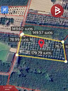 ขายที่ดิน เนื้อที่ 7 ไร่ 3 งาน 94 ตร.วา เทิง เชียงราย-202505121223221747027402873.jpg