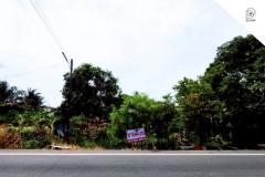 ขายที่ดินเปล่าราชบุรี ดำเนินสะดวก-ราชบุรี (DD002030)
