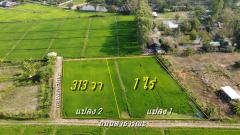 ที่นาแบ่งขาย 313 ตร.ว. และ 1 ไร่ ใกล้ที่ว่าการอ.สันกำแพง 