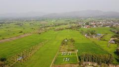 ที่นาแบ่งขาย 313 ตร.ว. และ 1 ไร่ ใกล้ที่ว่าการอ.สันกำแพง -202505121256581747029418765.jpg