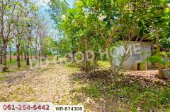 WR-874308 ที่ดินนาดี 27 ไร่ 389 ตร.ว. ปราจีนบุรี ใกล้อุทยานแห่งชาติทับลาน-202505121447421747036062111.jpg
