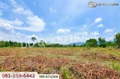 WR-874308 ที่ดินนาดี 27 ไร่ 389 ตร.ว. ปราจีนบุรี ใกล้อุทยานแห่งชาติทับลาน-202505121447421747036062833.jpg