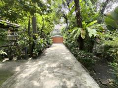 บ้านเดี่ยวเนื้อที่ 446 ตรว. ใจกลางเมือง เหมาะสำหรับลงทุน-202505121530431747038643611.jpg