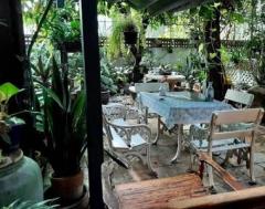บ้านเดี่ยวเนื้อที่ 446 ตรว. ใจกลางเมือง เหมาะสำหรับลงทุน-202505121530451747038645860.jpg