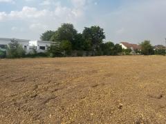 ขายที่ดินจัดสรร ถมแล้ว 7 แปลง ในโครงการหมู่บ้านสวนเกษตรไผ่ขวาง-202505121702421747044162704.jpg