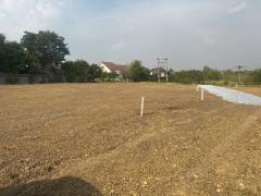 ขายที่ดินจัดสรร ถมแล้ว 7 แปลง ในโครงการหมู่บ้านสวนเกษตรไผ่ขวาง-202505121702451747044165732.jpg