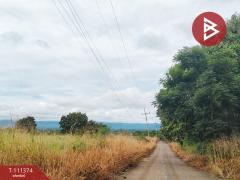 ขายที่ดิน เนื้อที่ 2 ไร่ เขาแดง อ.สอยดาว จันทบุรี-202505121714561747044896908.jpg