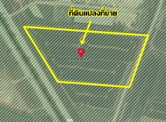 ขายที่ดินเปล่า ติดถนนบางบัวทอง-สุพรรณบุรี ใกล้องค์การบริหารส่วนตำบลเทพมงคล-202505130926391747103199768.png