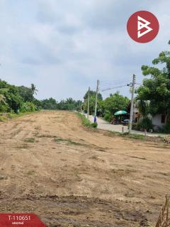  ขายที่ดินติดถนน แบ่งขาย 4 แปลง ต.บ้านแก่ง นครสวรรค์-202505131424281747121068836.jpg