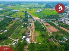  ขายที่ดินติดถนน แบ่งขาย 4 แปลง ต.บ้านแก่ง นครสวรรค์-202505131424331747121073682.jpg