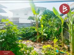ขายที่ดิน ซ.เปรมฤทัย3 เนื้อที่ 45 ตร.วา พระประแดง สมุทรปราการ-202505131438131747121893953.jpg