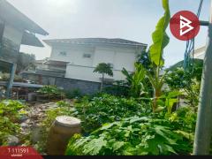ขายที่ดิน ซ.เปรมฤทัย3 เนื้อที่ 45 ตร.วา พระประแดง สมุทรปราการ-202505131438171747121897493.jpg