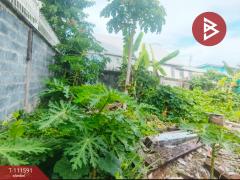 ขายที่ดิน ซ.เปรมฤทัย3 เนื้อที่ 45 ตร.วา พระประแดง สมุทรปราการ-202505131438181747121898133.jpg