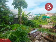 ขายที่ดิน ซ.เปรมฤทัย3 เนื้อที่ 45 ตร.วา พระประแดง สมุทรปราการ-202505131438191747121899425.jpg