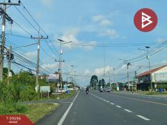 ขายที่ดินเปล่า เนื้อที่ 98 ตร.วา ท่าซัก นครศรีธรรมราช-202505140624191747178659939.jpg