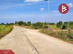ขายที่ดินถมแล้ว เนื้อที่ 3 งาน 36.2 ตร.วา บรรพตพิสัย นครสวรรค์-202505140951431747191103327.jpg
