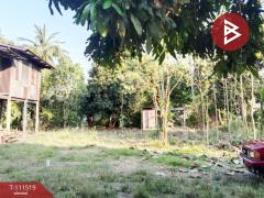 ขายที่ดินถมแล้ว เนื้อที่ 3 งาน 36.2 ตร.วา บรรพตพิสัย นครสวรรค์-202505140951461747191106577.jpg
