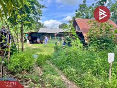 ขายที่ดิน เนื้อที่ 9 ไร่ 44 ตร.วา ที่ดินโพธิ์ศรีสุวรรณ ศรีสะเกษ-202505141155501747198550629.jpg