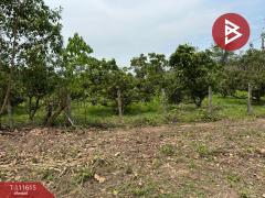 ขายที่ดิน เนื้อที่ 6 ไร่ 67.4 ตร.วา ปัว น่าน