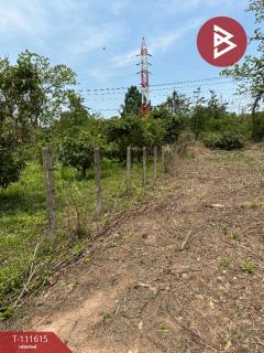 ขายที่ดิน เนื้อที่ 6 ไร่ 67.4 ตร.วา ปัว น่าน-202505141201081747198868915.jpg