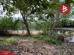 ขายที่ดิน เนื้อที่ 6 ไร่ 67.4 ตร.วา ปัว น่าน-202505141201091747198869541.jpg