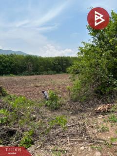 ขายที่ดิน เนื้อที่ 6 ไร่ 67.4 ตร.วา ปัว น่าน-202505141201101747198870178.jpg