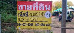 ขายที่ดิน พร้อมสิ่งปลูกสร้าง 305 วา หลังโรงเรียนดินทอง  บ้านดินทอง วังทอง  พิษณุโลก