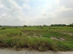 ขายที่ดิน ใกล้ตัวเมืองพนัสนิคม ซอยทุ่งขวาง 16 เนื้อที่ 47 ไร่ 40.4 ตรว เหมาะทำโครงการบ้านขาย-202505141700221747216822861.jpg