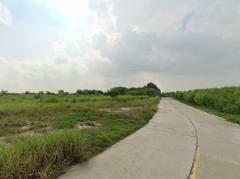 ขายที่ดิน ใกล้ตัวเมืองพนัสนิคม ซอยทุ่งขวาง 16 เนื้อที่ 47 ไร่ 40.4 ตรว เหมาะทำโครงการบ้านขาย-202505141700231747216823489.jpg