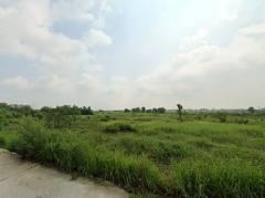 ขายที่ดิน ใกล้ตัวเมืองพนัสนิคม ซอยทุ่งขวาง 16 เนื้อที่ 47 ไร่ 40.4 ตรว เหมาะทำโครงการบ้านขาย-202505141700251747216825016.jpg