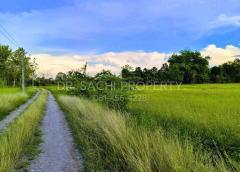 ขายที่ดิน 5-3-66.2 ไร่ ใกล้ศูนย์ราชการ หลังสนามบิน เชียงราย -202505142126491747232809292.jpg