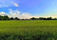 ขายที่ดิน 5-3-66.2 ไร่ ใกล้ศูนย์ราชการ หลังสนามบิน เชียงราย -202505142126501747232810760.jpg