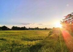ขายที่ดิน 5-3-66.2 ไร่ ใกล้ศูนย์ราชการ หลังสนามบิน เชียงราย -202505142126511747232811478.jpg