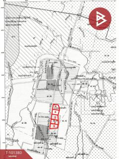 ขายที่ดิน50-3-42.1 ตร.วา พร้อมไม้ป่าผสม จ.สงขลา ( รายละเอียดใต้โพสต์ ) -202505150054581747245298655.jpg