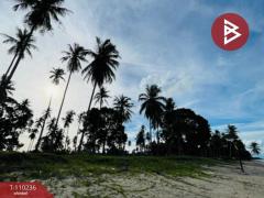 ขายที่ดินติดทะเล (แบ่งขาย )45-3-21.0 ตร.วา  อำเภอท่าศาลา นครศรีธรรมราช-202505150938241747276704574.jpg