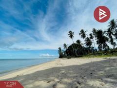 ขายที่ดินติดทะเล (แบ่งขาย )45-3-21.0 ตร.วา  อำเภอท่าศาลา นครศรีธรรมราช-202505150938251747276705204.jpg